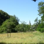 Hoog Elten in de verte