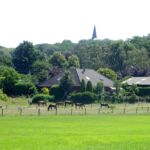 Uitzicht op Hoog Elten vanaf de uiterwaarden van de Rijn