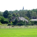 Uitzicht op Hoog Elten vanaf de uiterwaarden van de Rijn