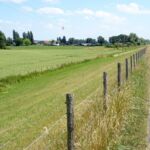 de uiterwaarden van de Rijn