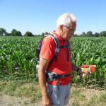 Doosje aardbeien gescoord (1)