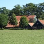 Het mooie landschap.