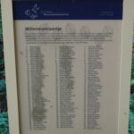 Een deel van de kinderen, hier geboren in milleniumjaar 2000.