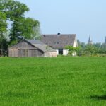 Olst in de verte.
