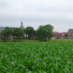 Hattem in de verte.