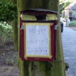 Ludiek, een vogelnestje in een brievenbus.