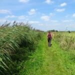 Het wandelpad door de uiterwaarden.