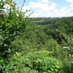 Mooi landschap (2)