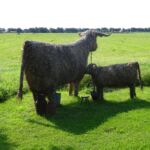 Leuk gedaan. In de buurt van Brunsting.