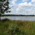 Het Dwingelderveld (2)