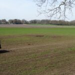 Het licht glooiende landschap van Gaasterland