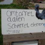 Scharreleieren op z'n Fries