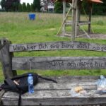 De bijenkorven (4)