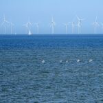 Groot windmolenpark in het IJsselmeer.