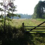 Landgoed Nienoord (1)