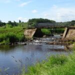 Het Peizer diepje (2)