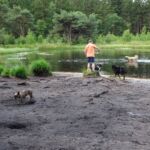 Het "hondenmeertje" (1)