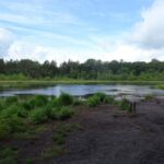 Het "hondenmeertje" (2)