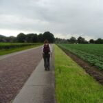 Omgeving Westervelde