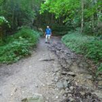 Het steile paadje (1)