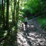 Het steile paadje (2)