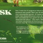 De wandelende bomen in Leeuwarden (3)