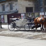 Zie je veel hier. Voor de toeristen.