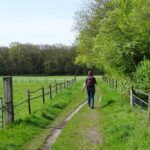Onderweg naar Westervelde