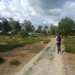 Het Aekingerzand (1)