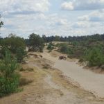 Het Aekingerzand (2)