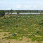 Uitzicht vanaf de toren.