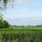 De vele windmolens in het IJsselmeer.
