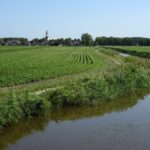 Het dorpje Arum (2)
