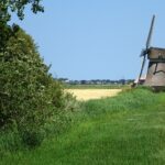 Molen in de buurt van Kimswerd.