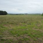 Uitzicht op het voormalige veengebied van Oost-Groningen