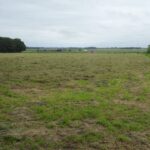 Uitzicht op het voormalige veengebied van Oost-Groningen