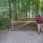 Dodenakker In het landgoed Ter Borgh