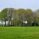 Net buiten Diever (1)
