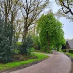 Net buiten Diever (2)