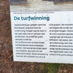 Brandeveenplas (3)