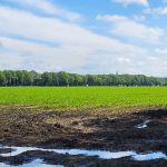 Uitzicht op de toren van Gees