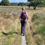 Het Mantingerveld (2)