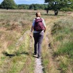 Het Mantingerveld (2)