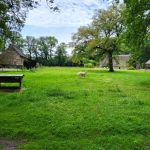 Apalca's in Gees (1)