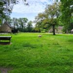 Apalca's in Gees (1)