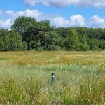 Het Mantingerveld (5)