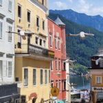 Vliegende zwanen