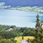 Uitzicht vanuit de trein (1)