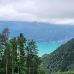Uitzicht vanuit de trein (3)