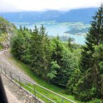 Uitzicht vanuit de trein (2)